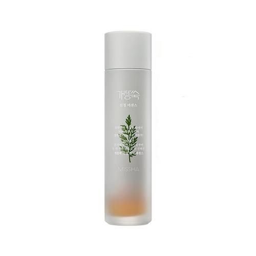 Frosted glass bottle of calming essence with green artemisia illustration and minimalist white cap on white background