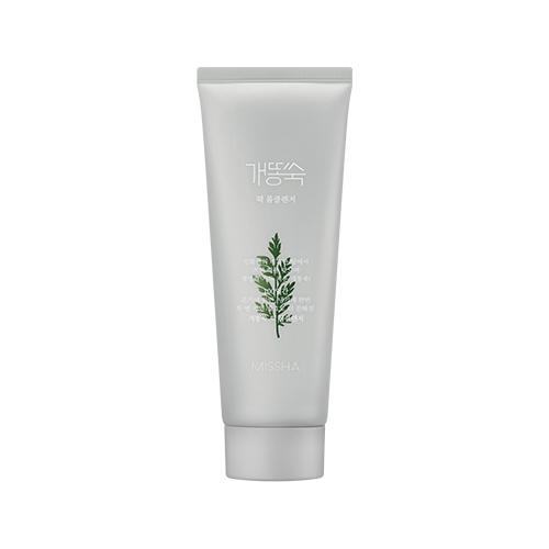 Minimalist gray tube of foam cleanser with green artemisia leaf illustration on white background