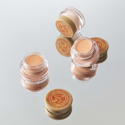 SKINFOOD Salmon Dark Circle Concealer Cream 10g in clear jars with beige cream and gold lids for brightening effect